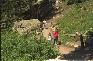 small_9400 0661 co hiIMG0060.webp